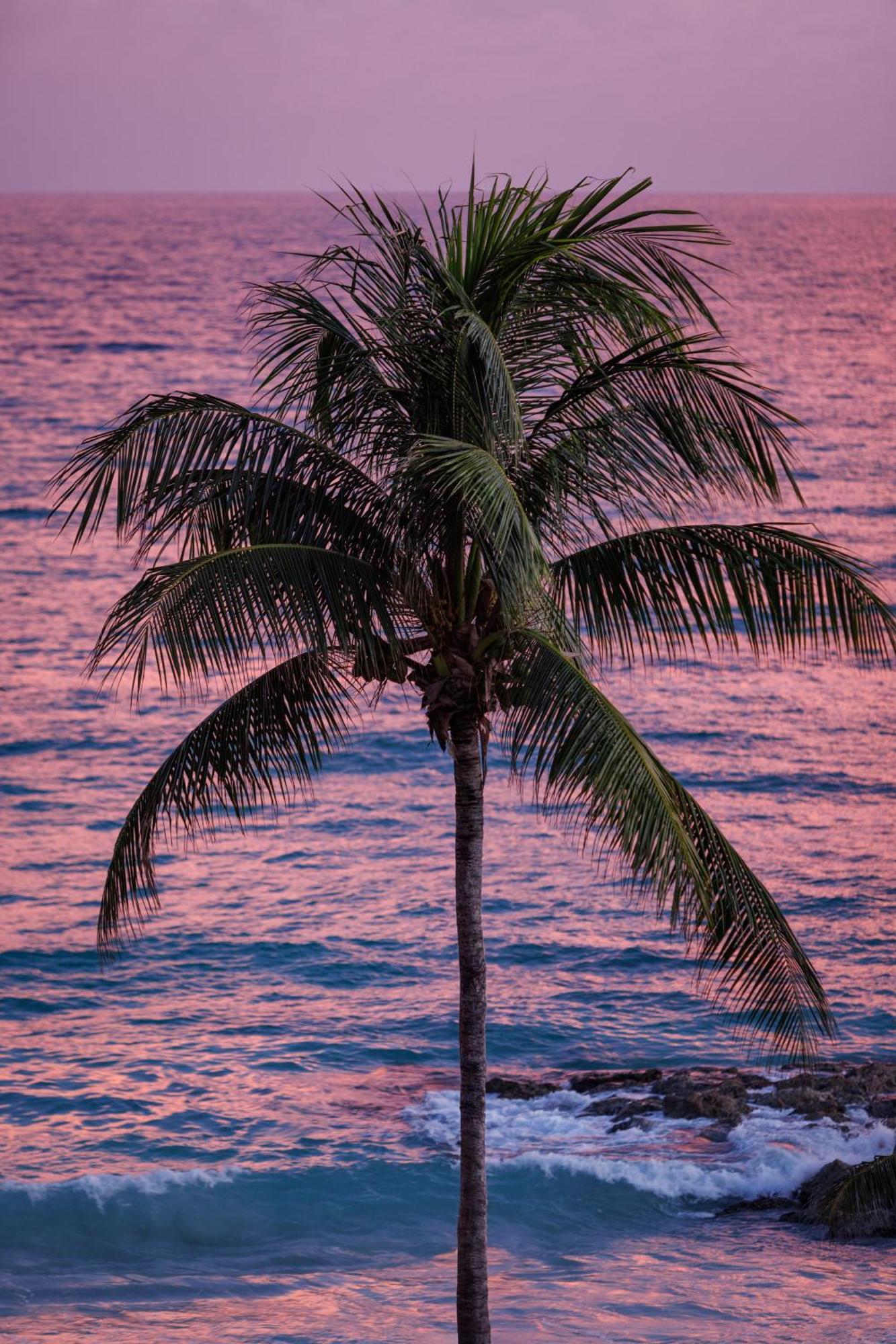 קרייסט צ'רץ' Sandals Barbados All Inclusive - Couples Only (Adults Only) מראה חיצוני תמונה